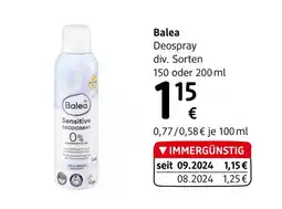 dm Balea Angebot