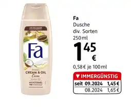 dm Fa Angebot