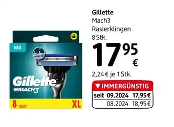 dm Gillette Angebot