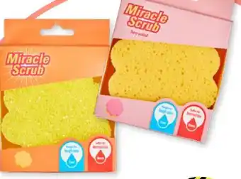 TEDi Scrub Daddy Miracle Reinigunsschwamm Angebot