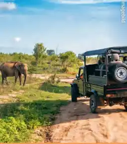 Hofer Hofer-Reisen Tansania-Sansibar Safari-Baden Angebot