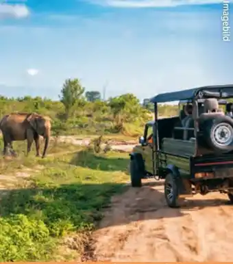 Hofer Hofer-Reisen Tansania-Sansibar Safari-Baden Angebot