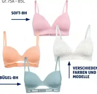 Hofer Up 2 Fashion Damen-Minimizer-BH Angebot