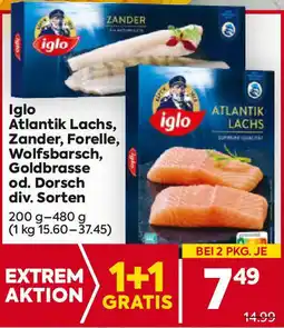 Billa Atlantik Lachs, Zander, Forelle, Wolfsbarsch, Goldbrasse od. Dorsch Angebot