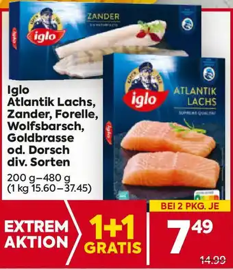 Billa Atlantik Lachs, Zander, Forelle, Wolfsbarsch, Goldbrasse od. Dorsch Angebot