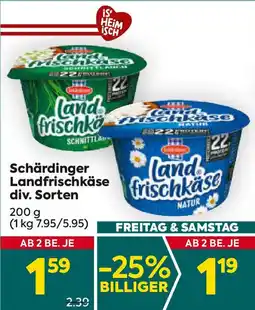 Billa Schärdinger Landfrischkäse Angebot