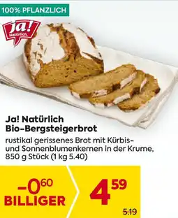 Billa Bio-bergsteigerbrot Angebot