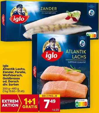 Billa Iglo atlantik lachs, zander, forelle, wolfsbarsch, goldbrasse Angebot