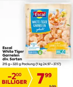 Billa Escal white  tiger garnelen Angebot