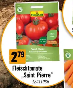 Hornbach Fleischtomate Saint Pierre Angebot