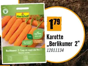 Hornbach Karotte Berlikumer 2 Angebot