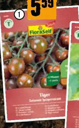 Hornbach Tomate Tiger F1 Angebot