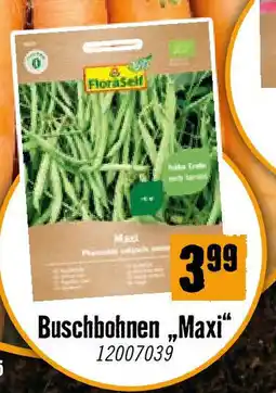 Hornbach Buschbohnen Maxi Angebot