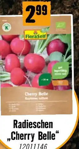 Hornbach Radieschen Cherry Belle Angebot