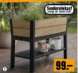 Hornbach Hochbeet Ashwood Angebot