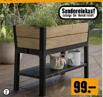 Hornbach Hochbeet Ashwood Angebot