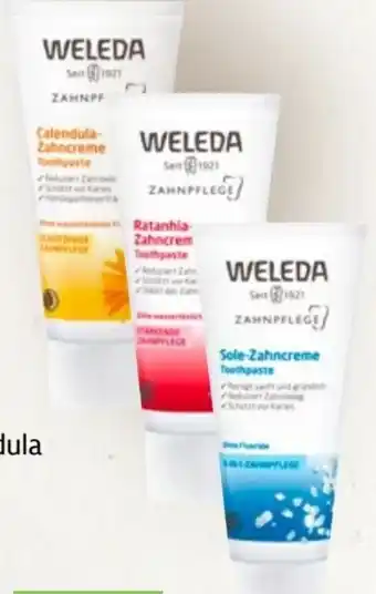 Prokopp Weleda Zahnpflege Sole Angebot