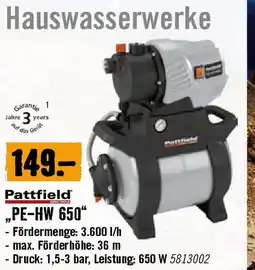 Hornbach Hauswasserwerke PE-HW 650 Angebot