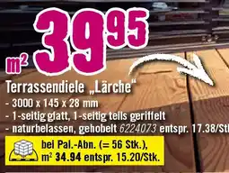 Hornbach Terrassendiele Lärche Angebot