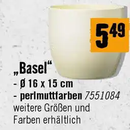 Hornbach Basel Angebot