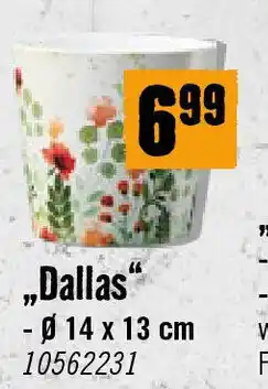 Hornbach Dallas Angebot