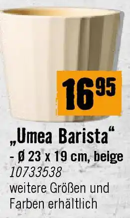 Hornbach Umea Barista Angebot