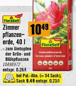 Hornbach Zimmer Pflanzen- Erde Angebot