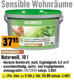 Hornbach Naturweiß Angebot