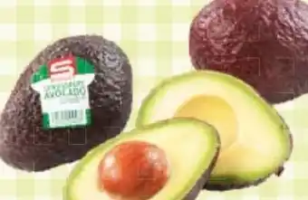 Maximarkt S Budget Avocado Angebot