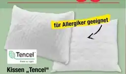 Maximarkt Kissen Angebot