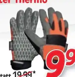 Zgonc Gebol Winter Handschuhe Master Thermo Angebot