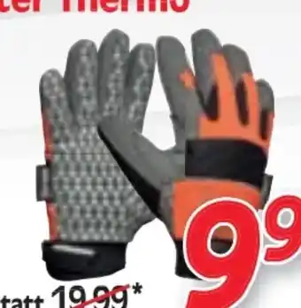 Zgonc Gebol Winter Handschuhe Master Thermo Angebot