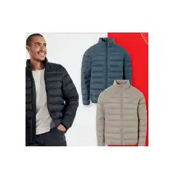 Lidl Herren Steppjacke Lidl APP Preis Angebot