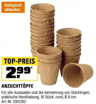 OBI Anzuchttöpfe Angebot