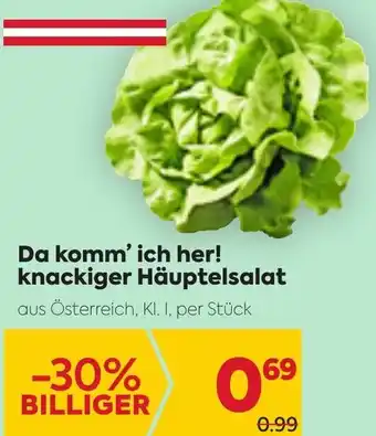 Billa Da Komm'Ich Her Knackiger Häuptelsalat Angebot
