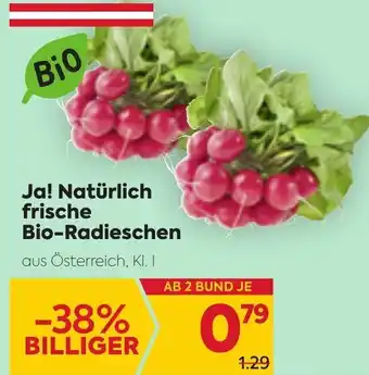 Billa Bio Ja! Natürlich Frische Bio-Radieschen Angebot
