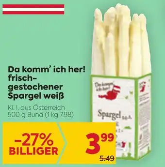 Billa Da Komm' Ich Her Frisch Gestochener Spargel Weiß 500 g Angebot