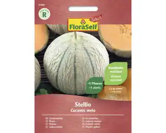 Hornbach Gemüsesamen FloraSelf Select Zuckermelone 'Stellio F1' Angebot