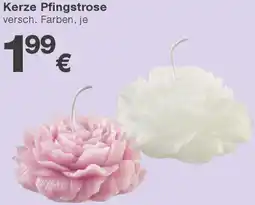 KiK Kerze Pfingstrose Angebot