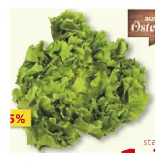 Unimarkt Endiviensalat Unimarkt Angebot