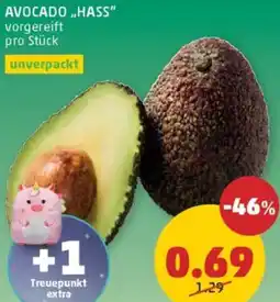 PENNY Avocado hass Angebot