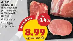 PENNY Schopf Angebot