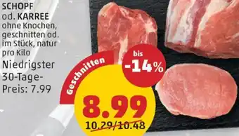 PENNY Schopf Angebot