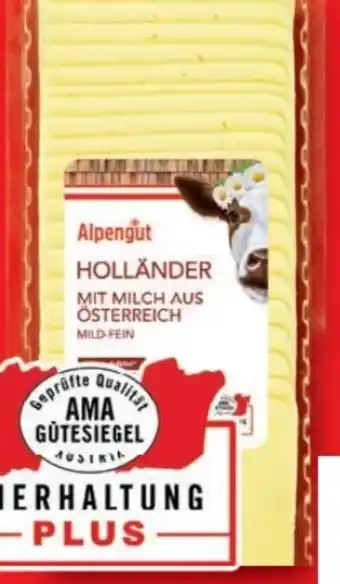 Lidl Alpengut Käse nach Holländer Art Angebot