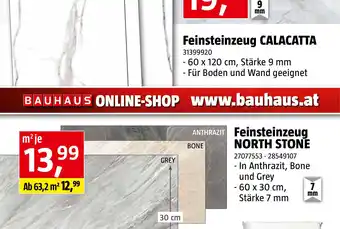 Bauhaus Feinsteinzeugfliese North Stone Angebot