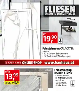 Bauhaus Feinsteinzeugfliese Calacatta Oro Angebot