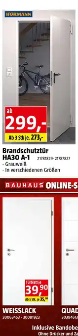 Bauhaus Hörmann Brandschutztür HA30 A-1 Angebot