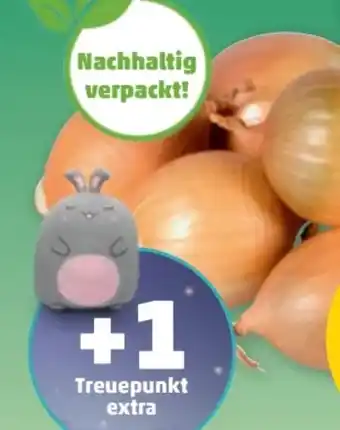 PENNY Echt Bio Zwiebeln Angebot