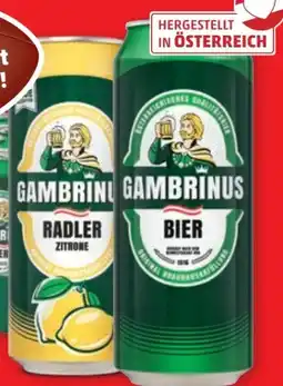 PENNY Gambrinus Bier Angebot