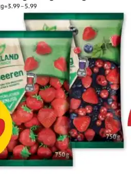 PENNY Greenland Früchte Mix Angebot